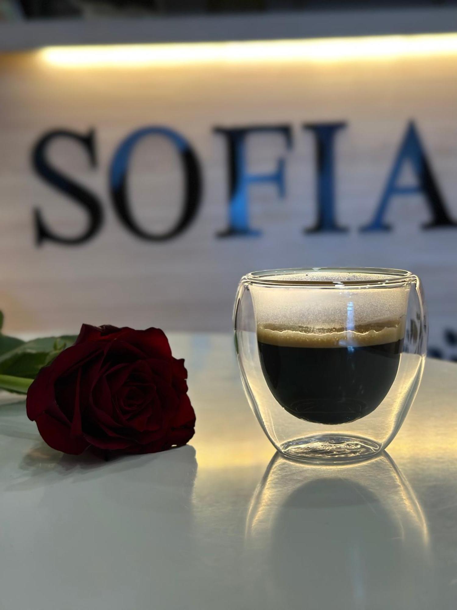 Sofia Hotel Erivan Dış mekan fotoğraf